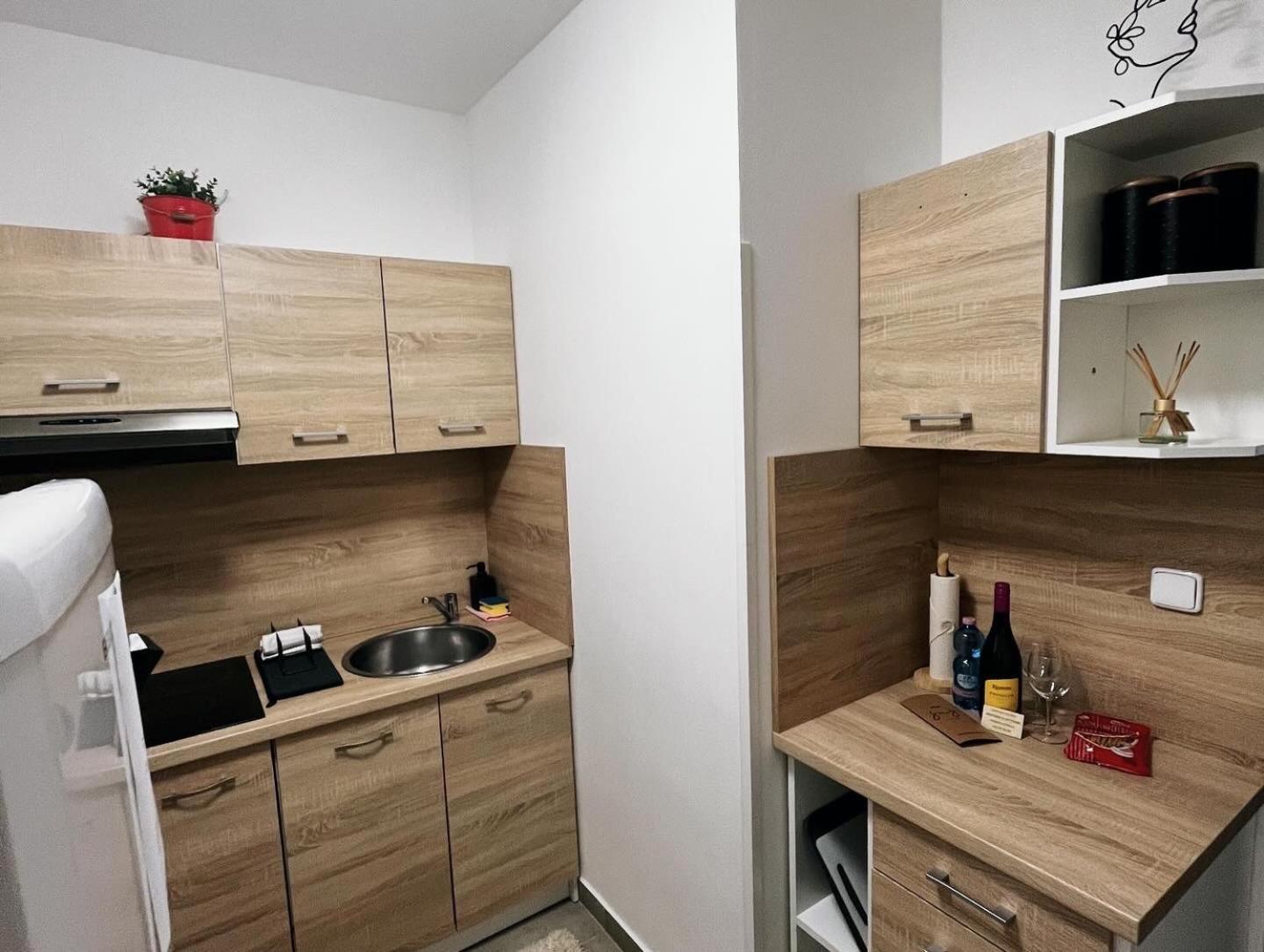 Fara ap2 Libice nad Cidlinou Exterior foto
